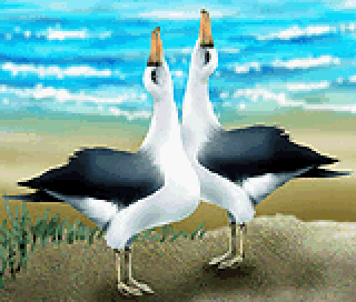 picrossnp_vol07_img02.png picrossnp_vol07_img02.png