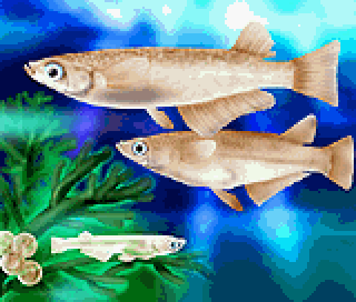 picrossnp_vol07_img01.png picrossnp_vol07_img01.png