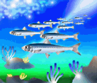 picrossnp_vol03_img05.png picrossnp_vol03_img05.png