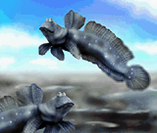 picrossnp_vol07_img04.png picrossnp_vol07_img04.png