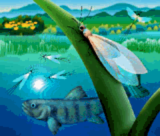 picrossnp_vol04_img07.png picrossnp_vol04_img07.png