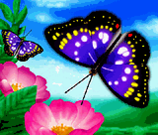 picrossnp_vol07_img03.png picrossnp_vol07_img03.png