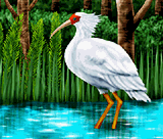 picrossnp_vol07_img12.png picrossnp_vol07_img12.png