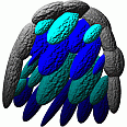 Blueberry Soft